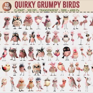 Puede incluir: Una colección de 60 imágenes prediseñadas de pájaros gruñones y extravagantes. Los pájaros están en varias poses y colores, incluyendo rosa, gris y blanco. El texto "QUIRKY GRUMPY BIRDS" está en la parte superior, junto con "60 PNGS" y otros detalles.
