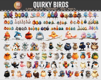 Quirky Birds Clipart Bundle Cartoon Bird Characters PNG Set 300 DPI