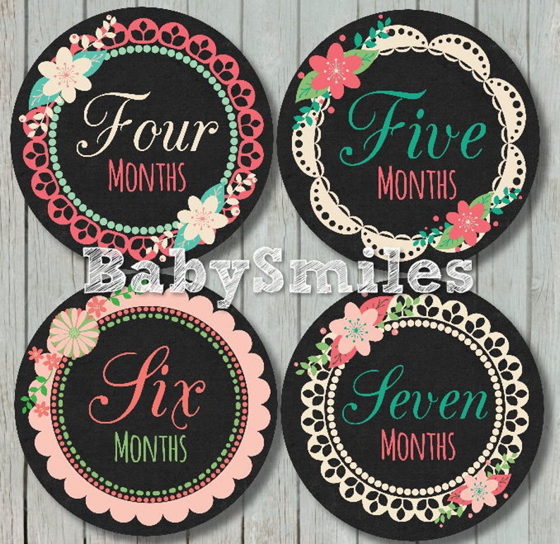 FREE GIFT Monthly Baby Stickers Baby Month Stickers Baby Girl Month Stickers Monthly Bodysuit Stickers Monthly Milestone Sticker Baby Shower