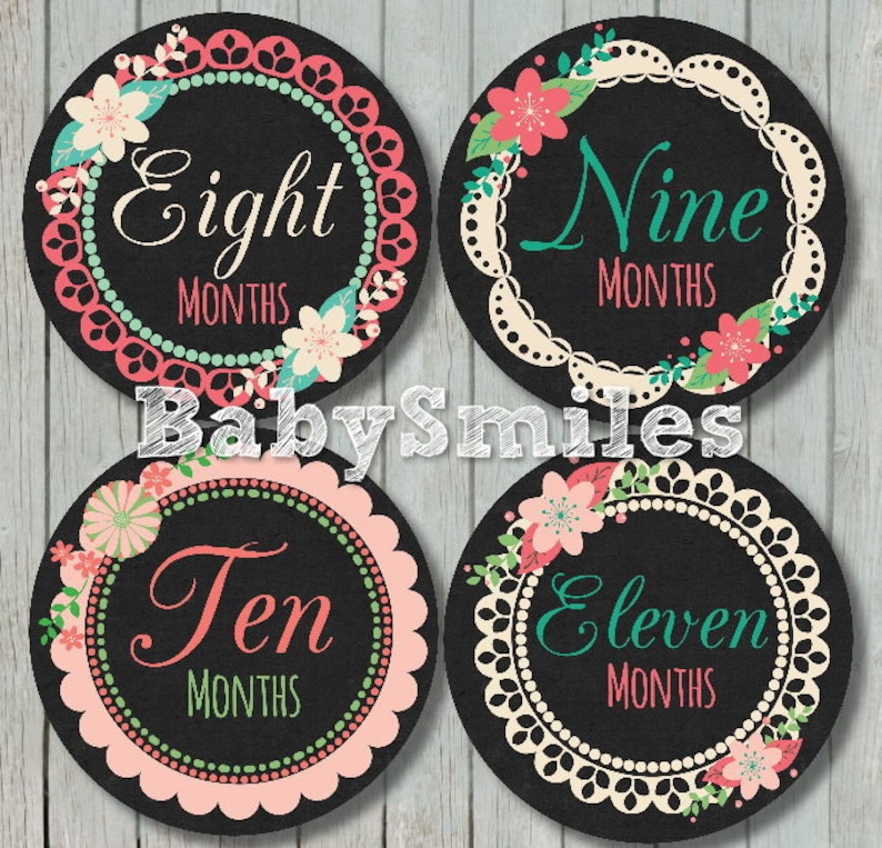 FREE GIFT Monthly Baby Stickers Baby Month Stickers Baby Girl Month Stickers Monthly Bodysuit Stickers Monthly Milestone Sticker Baby Shower