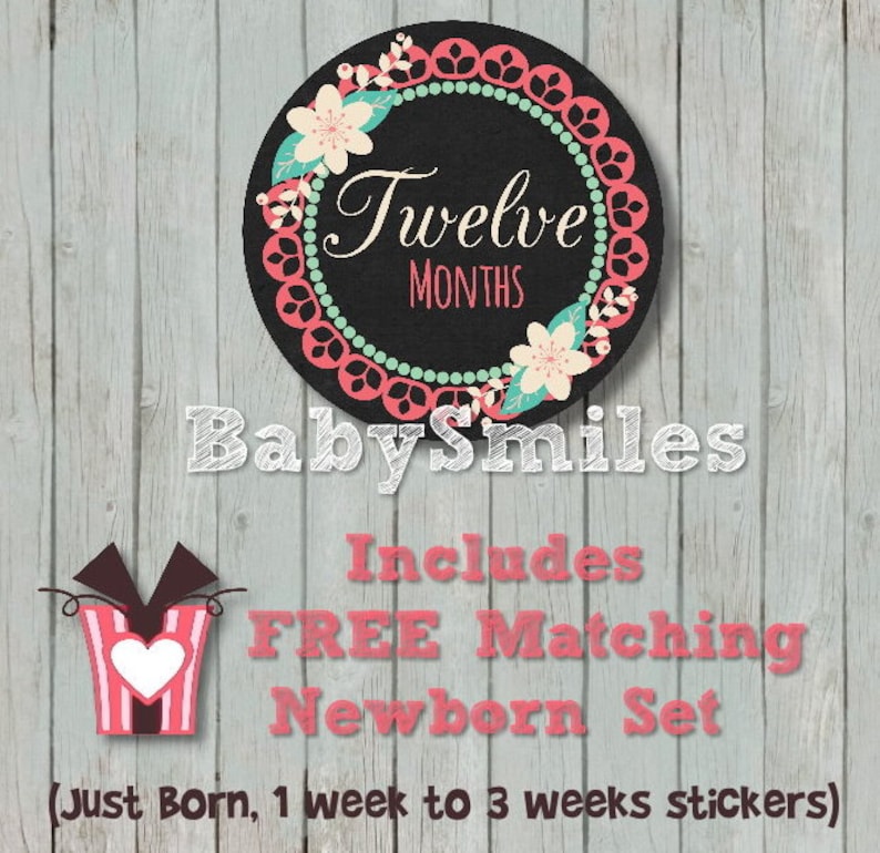 FREE GIFT Monthly Baby Stickers Baby Month Stickers Baby Girl Month Stickers Monthly Bodysuit Stickers Monthly Milestone Sticker Baby Shower