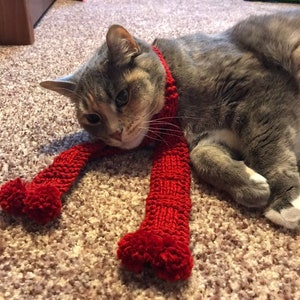 cat scarf for the Valentine feline or canine in your life!!