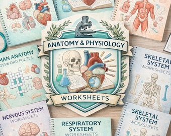 Körpersysteme Physiologie Arbeitsblätter Bündel | PDF-Datei