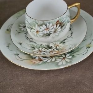 Vintage Bavaria Germany Tea Cup And Saucer Trio set; Floral Pattern