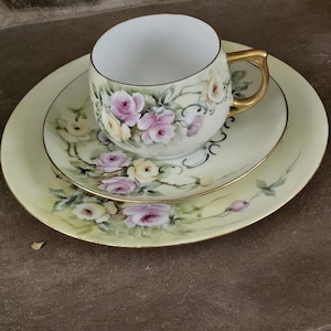 Vintage Bavaria Germany Tea Cup And Saucer Trio set; Floral Pattern