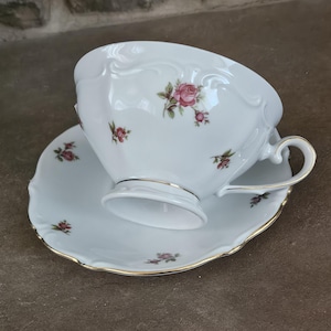 Bavaria Western Germany Teetasse mit Untertasse