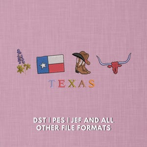 Puede incluir: Diseño bordado con símbolos de Texas: un altramuz, la bandera de Texas, una bota y un sombrero de vaquero, y un longhorn. La palabra "TEXAS" está escrita con letras coloridas. El diseño está sobre un fondo rosa.