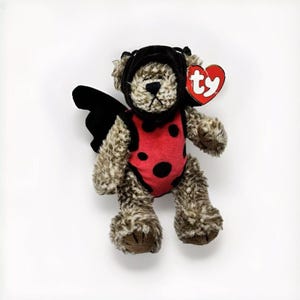 May include: A brown and black plush ladybug bear wearing a black ladybug costume with red and black spots and black wings. The bear has a Ty tag attached to its right ear.