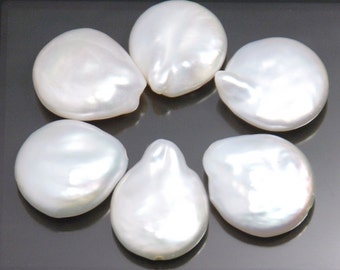 6 pieces: freshwater coin pearl with tails, 14X11 mm, grade AAA, natural creamy white color
