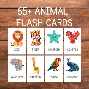Fun and Educational Animal Flashcards for Kids: Montessori Learning Cards (Printable PDF)