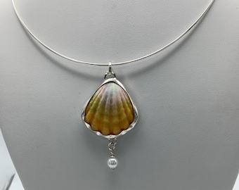Hawaiian Sunrise Shell set in Sterling Silver