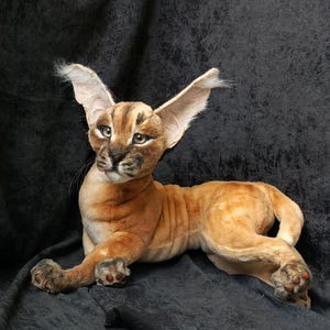 Wild cat plush realistic Caracal stuffed animal soft sculpture