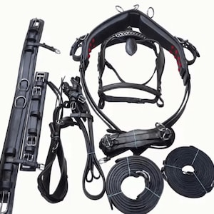 Könnte beinhalten: Ein komplettes schwarzes Pferdegeschirr-Set, einschließlich Zaumzeug, Brustblatt und Zügeln. Das Geschirr verfügt über silberfarbene Metallbeschläge und rote Akzente. Das Set ist für die Verwendung mit einem Pferdegespann konzipiert.