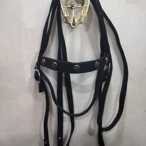 May include: Black horse bridle with silver-tone star accents and a brass horseshoe-shaped wall hook. The bridle features a padded browband and cheek pieces. The hook is mounted on a white wall.