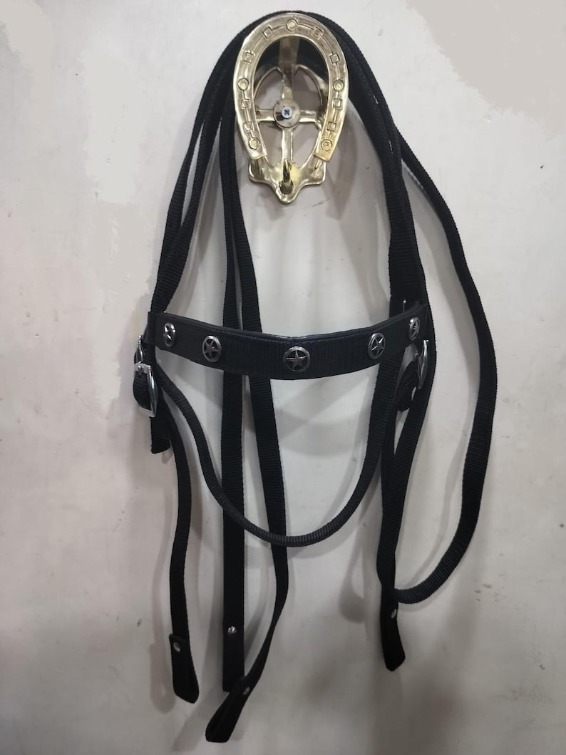 May include: Black horse bridle with silver-tone star accents and a brass horseshoe-shaped wall hook. The bridle features a padded browband and cheek pieces. The hook is mounted on a white wall.