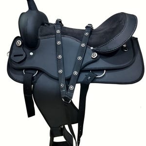 Sex in the saddle