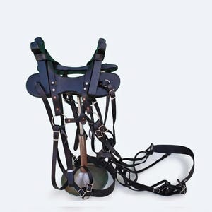 Pode incluir: Uma sela de cavalo em couro preto com uma estrutura rígida e painéis inferiores acolchados em verde. A sela inclui múltiplas correias ajustáveis, fivelas de metal e anéis circulares, com longas rédeas de couro que se estendem para fora.