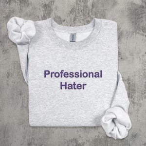 Professional Hater Embroidered Sweatshirt, Funny Sayings Embroidery Sweater, Embroidered Text Crewneck, Silly Gifts, Retro Sweaters