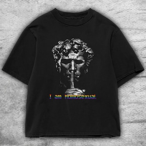Yes Im Homosexual meme Unisex Tee, LGBTQ Pride Gift Shirt, Rainbow Graphic Apparel, Funny LGBT Tshirt, Gay Rights Clothing