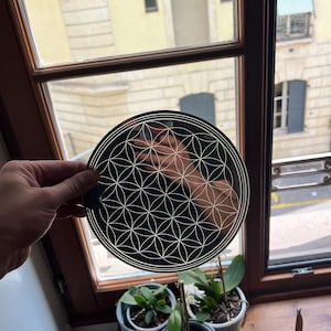 Può includere: Un oggetto decorativo circolare nero con un motivo bianco a fiore della vita. L'oggetto è tenuto davanti a una finestra, con vista su un edificio e alcune piante in vaso.