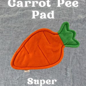 May include: An orange and green carrot-shaped pee pad with the text "Carrot Pee Pad" and "Super Absorbent!". The pad has a green leafy top and is designed for small pets. The Piggy Patch logo is in the upper right corner.