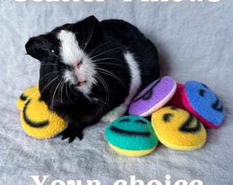 LIMITED! - Fleece Scatter Pillows for Cozy Guinea Pigs and Small Animals