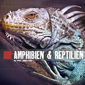 Könnte beinhalten: Detailliertes Bild einer großen Leguan mit strukturierter Haut in Grau-, Blau- und Brauntönen. Der Text "AMPHIBIEN & REPTILIEN 2026" wird unten angezeigt. Der Leguan liegt auf einem Ast.