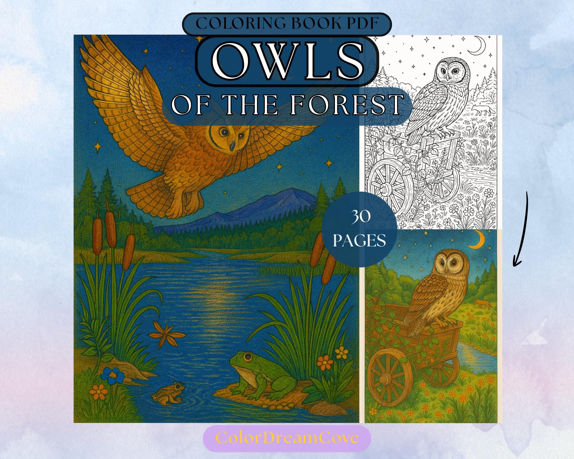 Owls of the Forest Coloring Book for Adults – Realistic Owl & Woodland Wildlife Scenes, PD