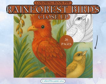 Regenwald-Vögel Nahaufnahmen - Ausmalbuch PDF - Realistische Tropenvogel Portraits für Erwachsene (26 Seiten, druckbar)