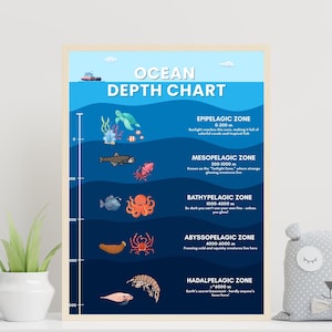 May include: A framed "Ocean Depth Chart" poster. The chart features illustrations of marine life and text describing the different ocean zones: Epipelagic, Mesopelagic, Bathypelagic, Abyssopelagic, and Hadalpelagic. A ship sails at the top.
