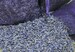 1-10lb HIGHEST FRAGRANCE Organic Lavender Bulk Dry English Lavender Grosso BiodegradableConfetti 1lb 2lb 3lb 4lb 5lb 6lb 8lb 10lb 8oz 4oz 