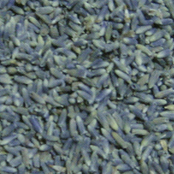 1lb ORGANIC Dried Lavender Flower Buds, Bulk French Lavendar - SUPERFAST SHIPPING (Also 1/4lb, 1/2lb, 1-5lb, Can sell any qty you need)