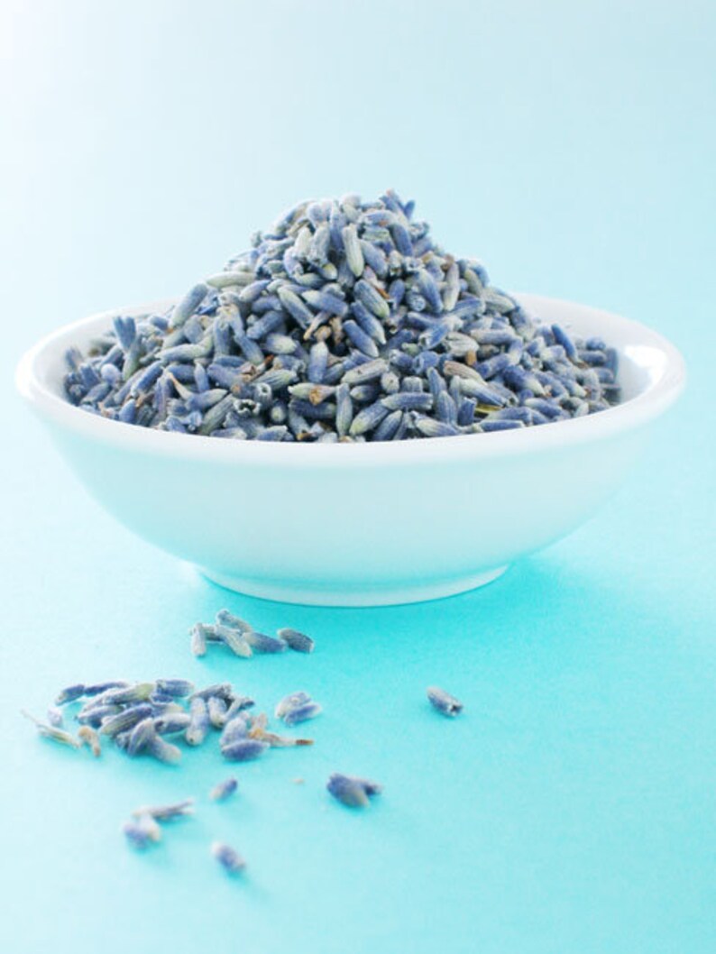 Organic CULINARY LAVENDER Buds 16oz Premium Edible Lavender Etsy