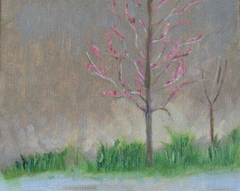 Redbud Tree Blossoms - Original Oil Painting