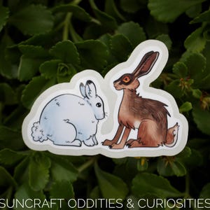 Bunny & Hare Sticker - Cute Design for Laptop, Notebook, Clipboard | Gift for Rabbit Lovers | Handmade | Sustainably Sourced | Pretty | Cool