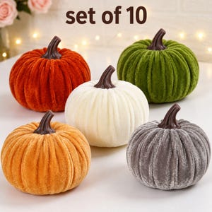 May include: A set of 10 decorative pumpkins featuring a soft velvet-like texture in orange, green, white, yellow, and gray. Each pumpkin has a dark brown stem and vertical ribbed detailing. The text set of 10 is displayed above the pumpkins.