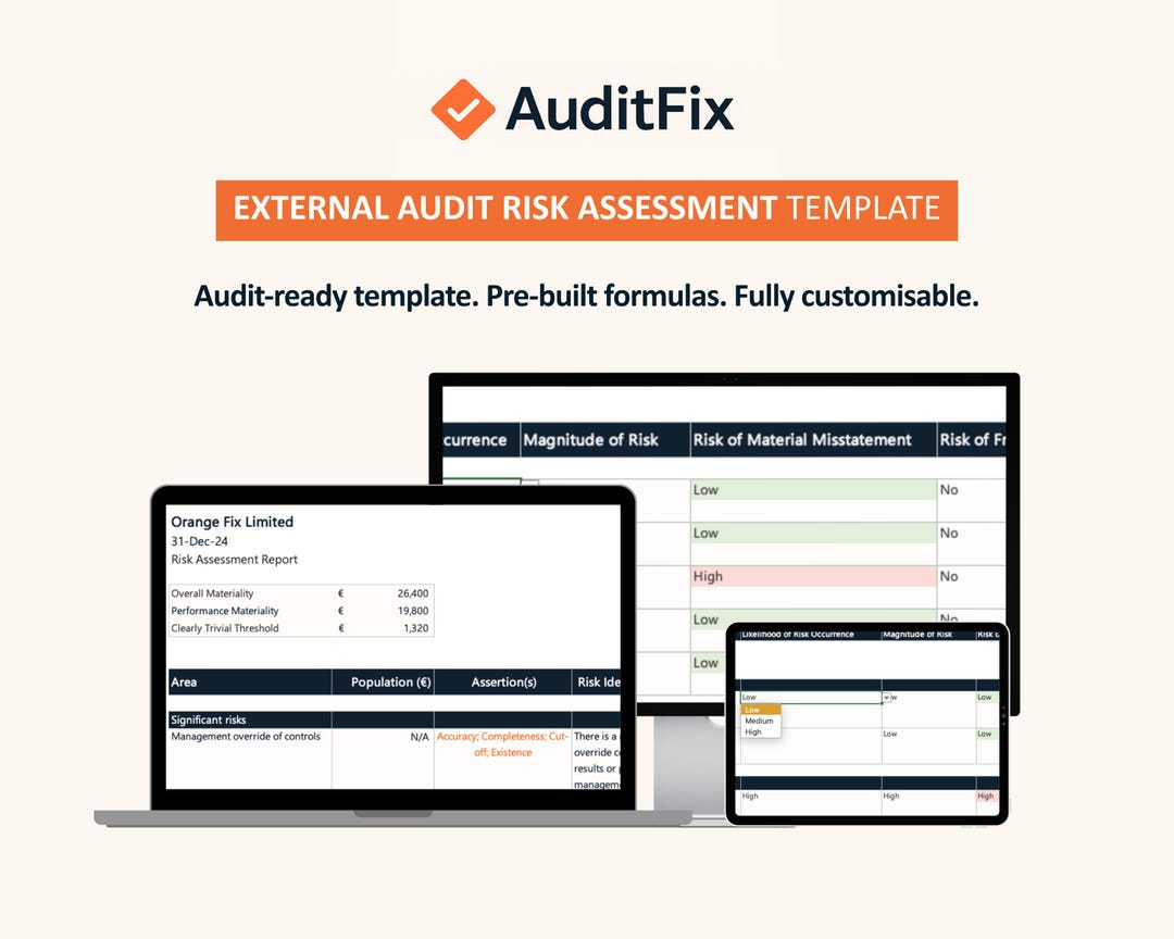 External Audit Risk Assessment Template: Editable Excel With Procedures ...