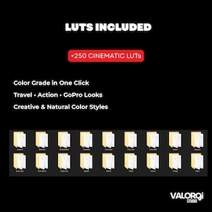Puede incluir: Gr&aacute;fico negro con el texto "LUTS INCLUDED" y "+250 CINEMATIC LUTS". La imagen tambi&eacute;n incluye el texto "Color Grade in One Click", "Travel &bull; Action &bull; GoPro Looks" y "Creative & Natural Color Styles". Debajo hay varios iconos de carpetas amarillas.