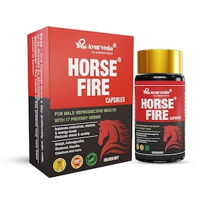 Horse Fire Premium Himalaya Shilajit 60 Kapseln -Authentisches Kräuterergänzungsmittel für Wellness und Vitalität für Männer