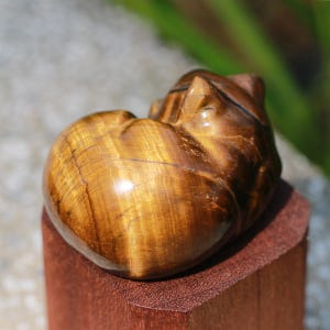 May include: A polished tiger's eye gemstone carved into the shape of a heart, resting on a small, reddish-brown wooden stand. The gemstone displays a warm, golden-brown color with natural striations. The heart-shaped stone is approximately 2 inches in length.