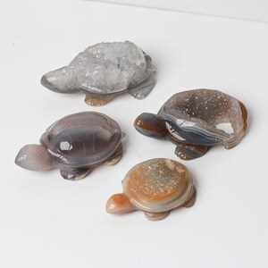 May include: Four carved stone turtle figurines in various colors. The turtles have detailed shells and heads, with colors ranging from clear crystal to brown and orange. The figurines are displayed on a white surface.