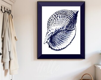 Sea snail seashell wall art Vintage coastal ocean décor Beachy sea life design with Navy blue border Printable INSTANT DIGITAL DOWNLOAD Gift
