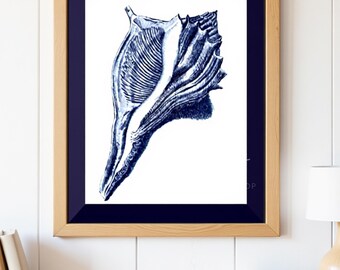 Whelk seashell wall art Vintage coastal ocean décor Beachy sea life design with Navy blue border Printable INSTANT DIGITAL DOWNLOAD Gift