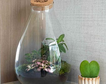 Terrario "Amo a mamá", regalo para mamá, jardín en botella DIY con corcho grabado, regalo para el Día de la Madre, terrario de plantas de bajo mantenimiento.