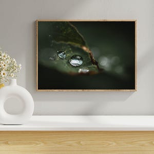 digital photo print, nature picture, art picture, art print, Boho Nature Printable, wall picture, wall art, digital nature print, green wood poster