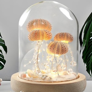 DIY Jellyfish Sea Urchin Lamp Kit - Create Your Own Magical Ocean Inspired Night Light Decor Special Gift Fairy Lights Coastal Beach