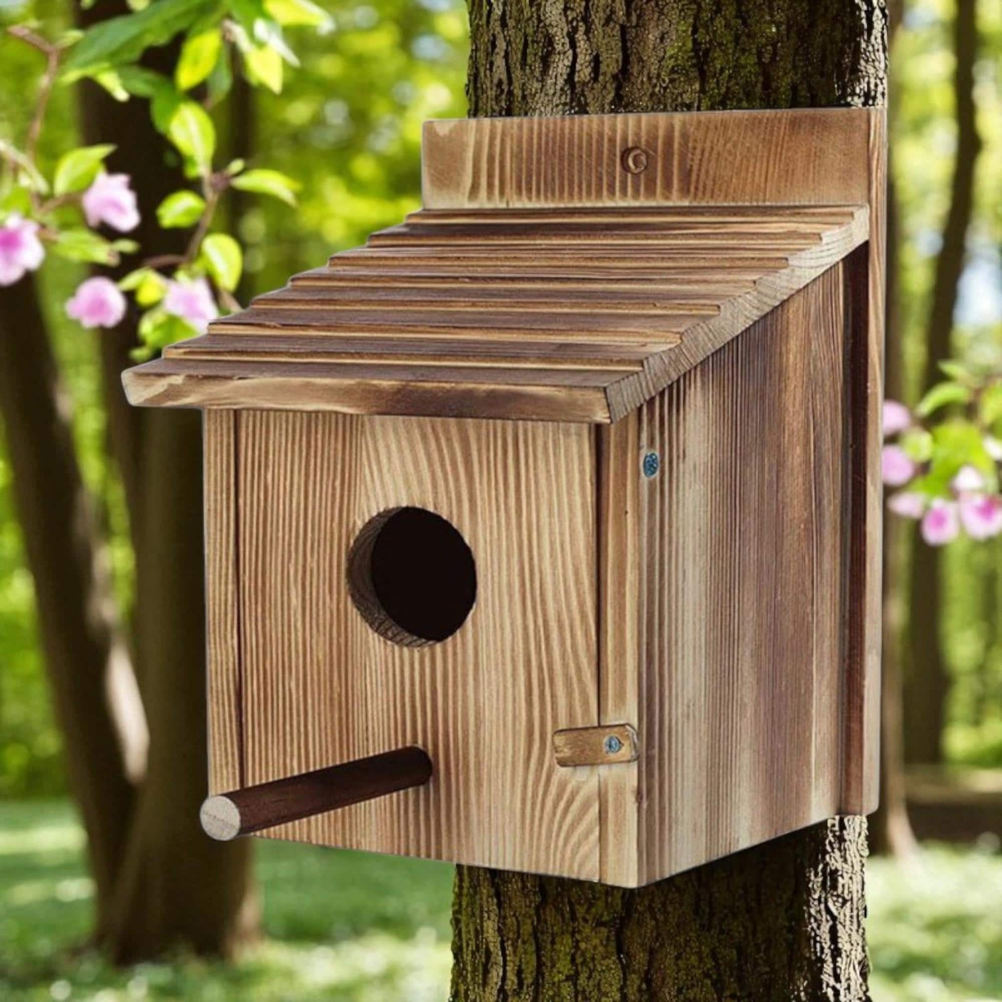 How to Build Cardinal Birdhouse: Easy Steps for Perfect Nesting