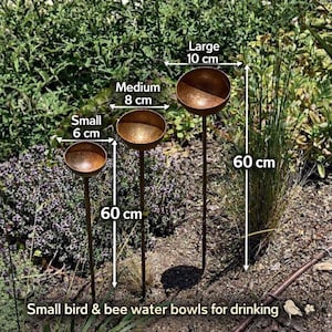 Juego rústico de metal para recoger agua de lluvia: decoración de jardín, fuente de agua para exteriores, cuencos para pájaros y abejas. imagen 2