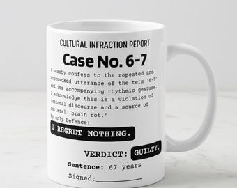 6-7 Meme Mug, Funny "I Regret Nothing" Confession, Personalized Gift