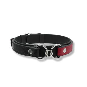 May include: Black and red leather collar with silver-tone metal rings. The collar has a buckle closure and a red leather accent on one end. The design is simple and elegant, suitable for various styles.